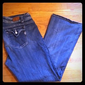 Vigoss 22 Plus Destroyed Flare Jeans